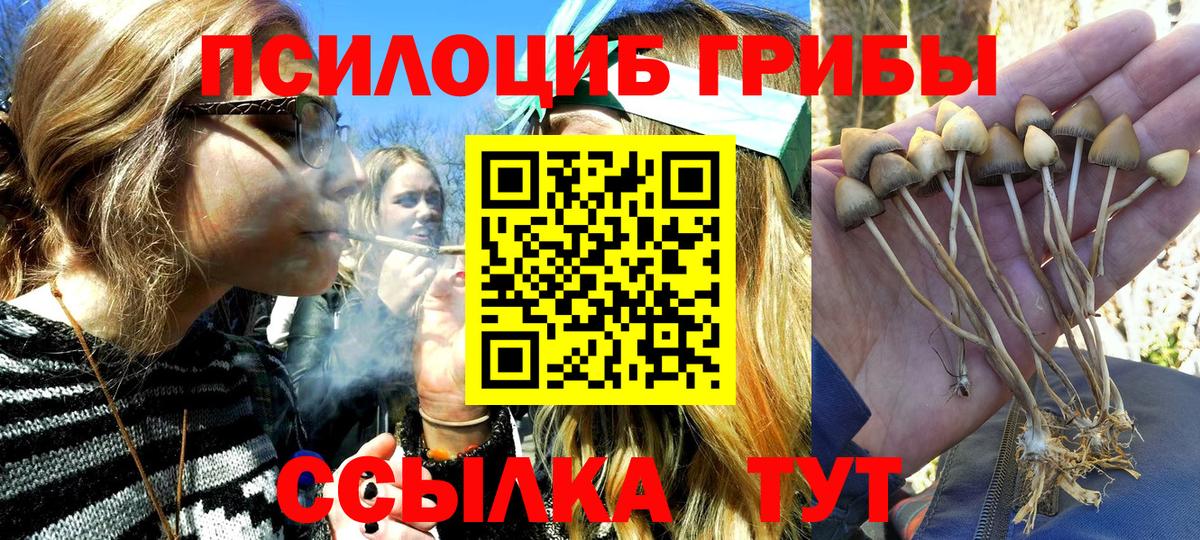 Галлюциногенные грибы Psilocybe  Вход с VPN  Лесозаводск 