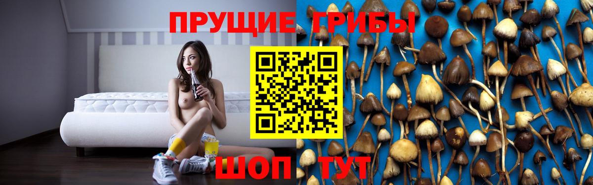 Галлюциногенные грибы мухоморы Лесозаводск